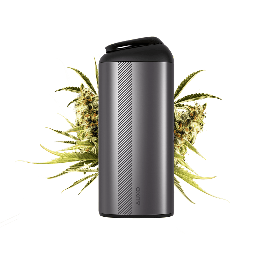 AUXO Calent | Premium Dry Herb Vaporizer