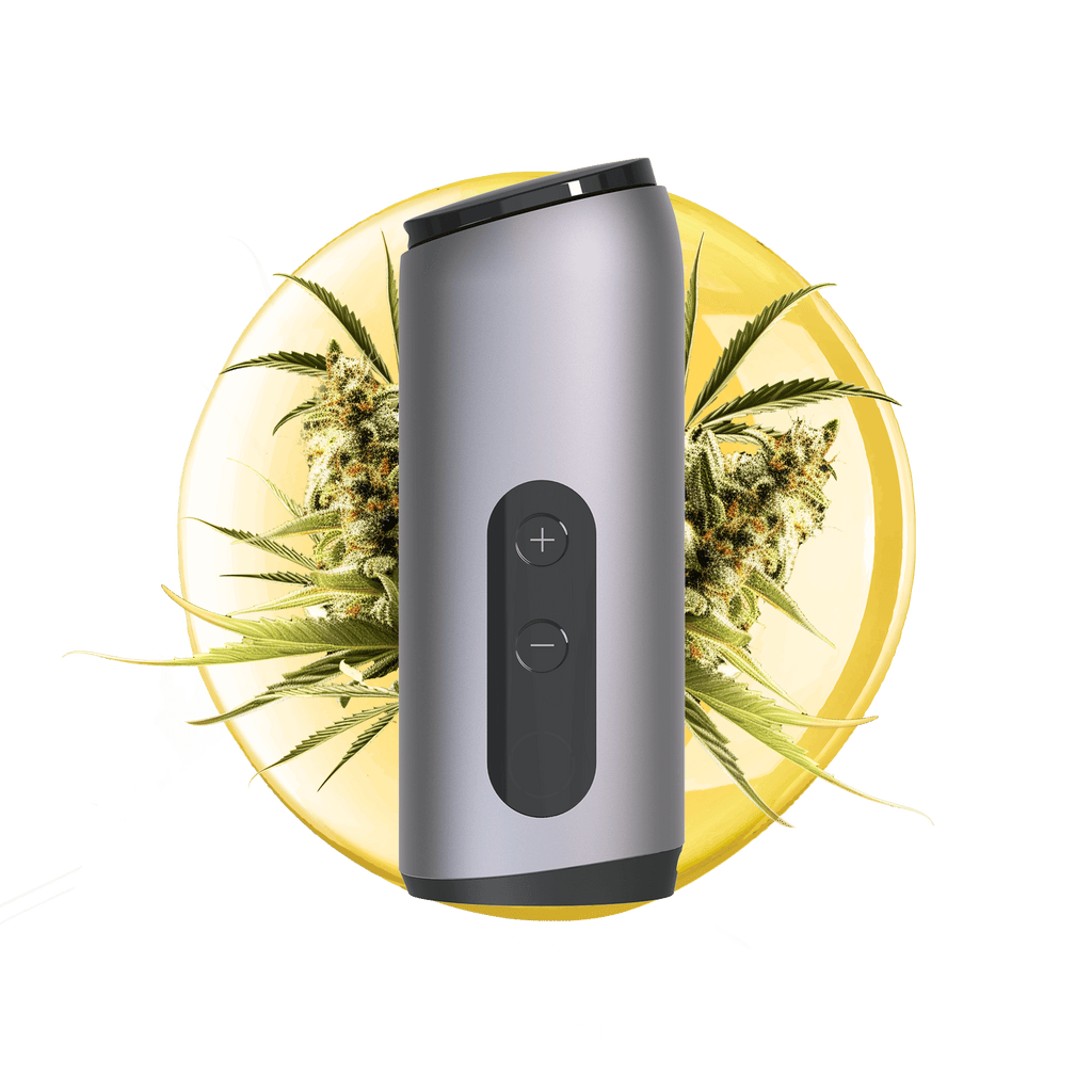 AUXO Celsius | Dual-Use Smart Vaporizer