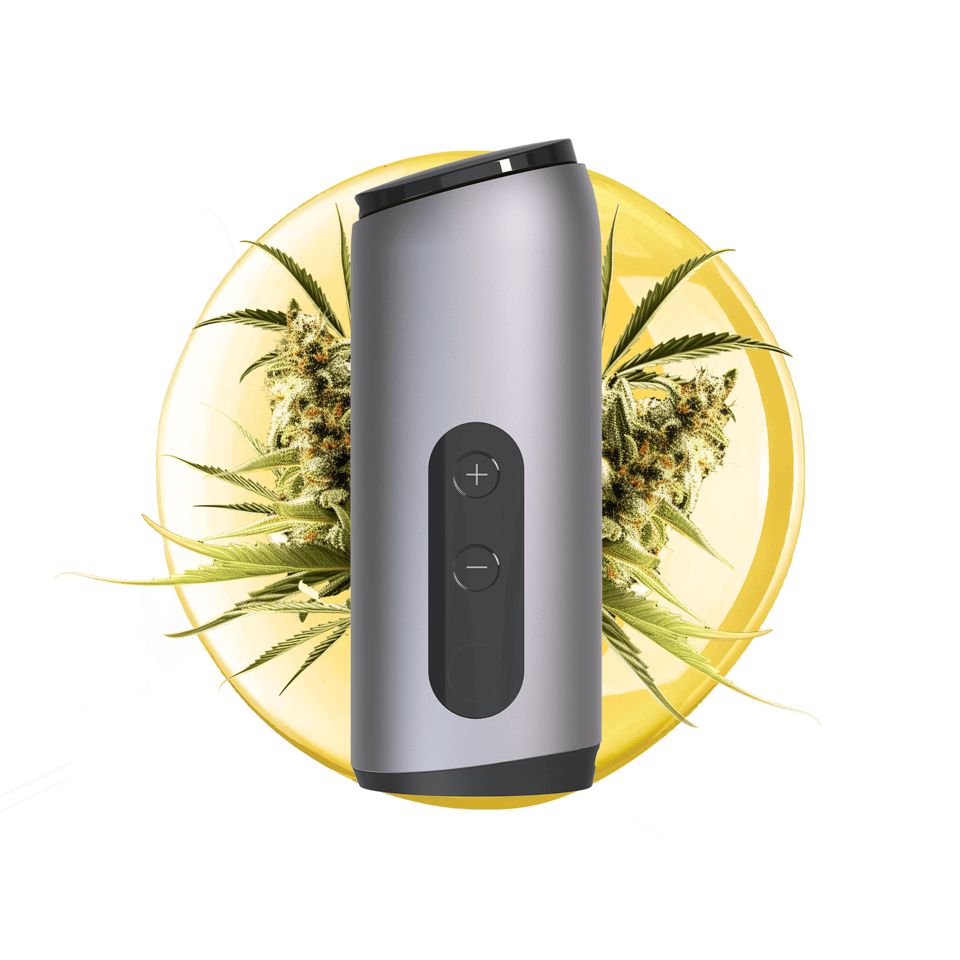 AUXO Celsius | Dual-Use Smart Vaporizer