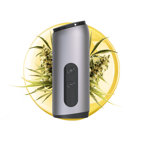 AUXO Celsius | Dual-Use Smart Vaporizer